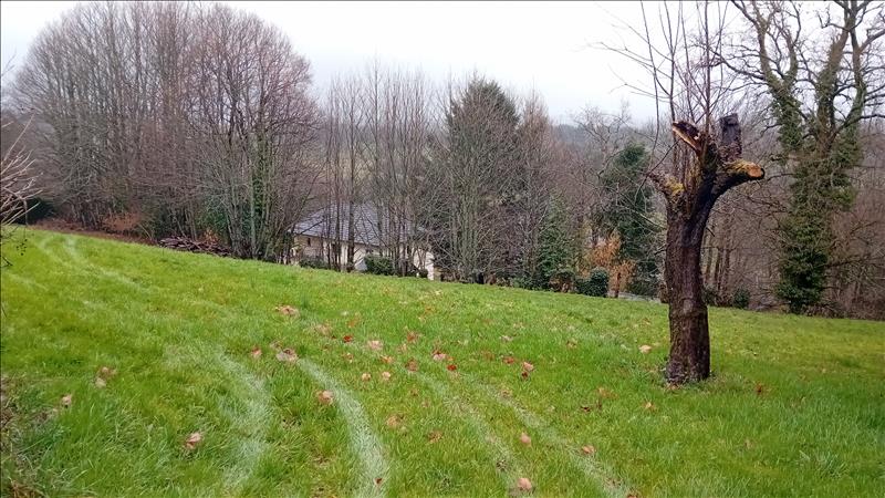 Vente Terrain MASSERET - -3620 m² - (19510)