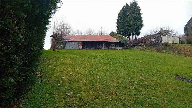 Vente Terrain MASSERET - -3620 m² - (19510)