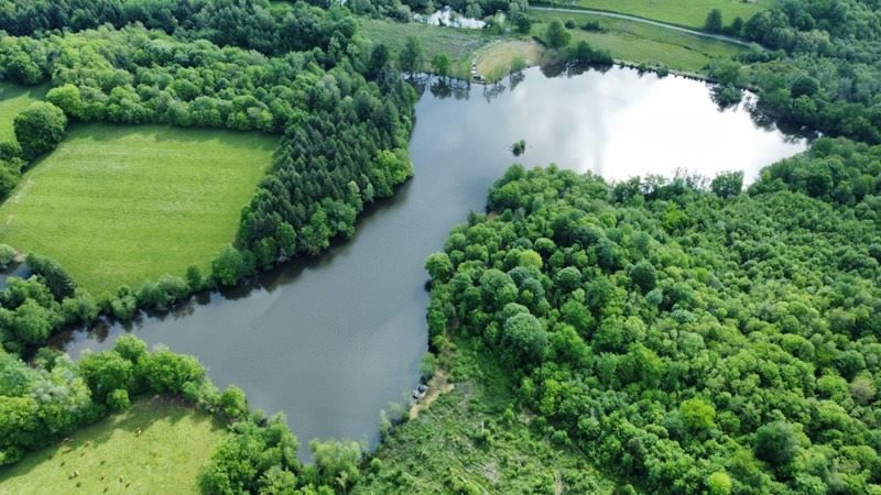 Vente Terrain TROCHE - -25814 m² - (19230)