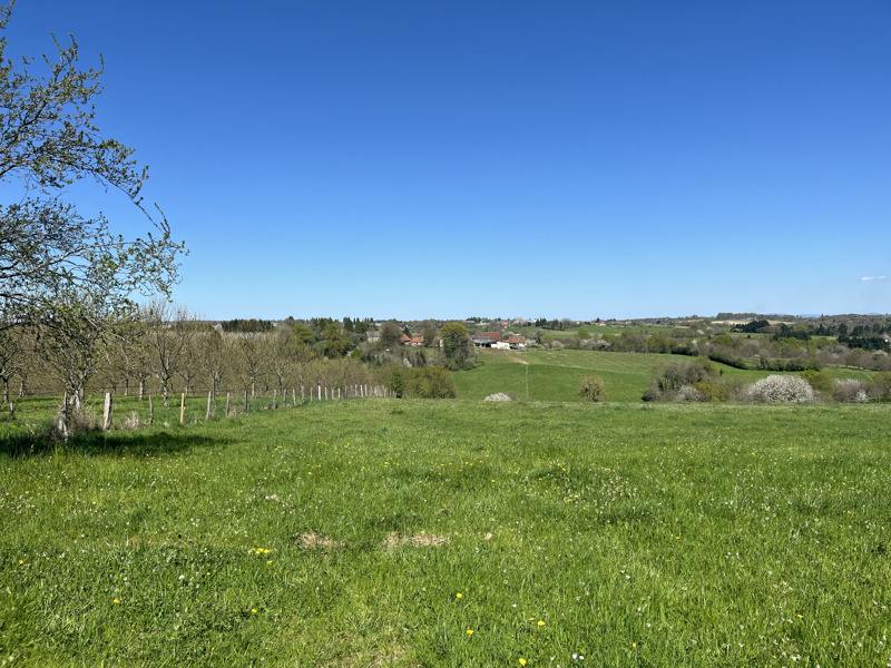 Vente Terrain CONCEZE - -4500 m² - (19350)