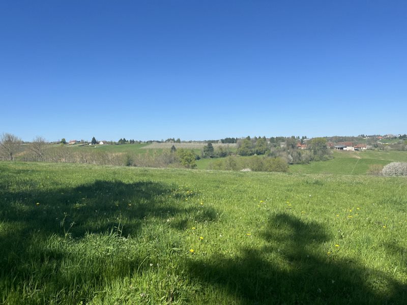 Vente Terrain CONCEZE - -4500 m² - (19350)