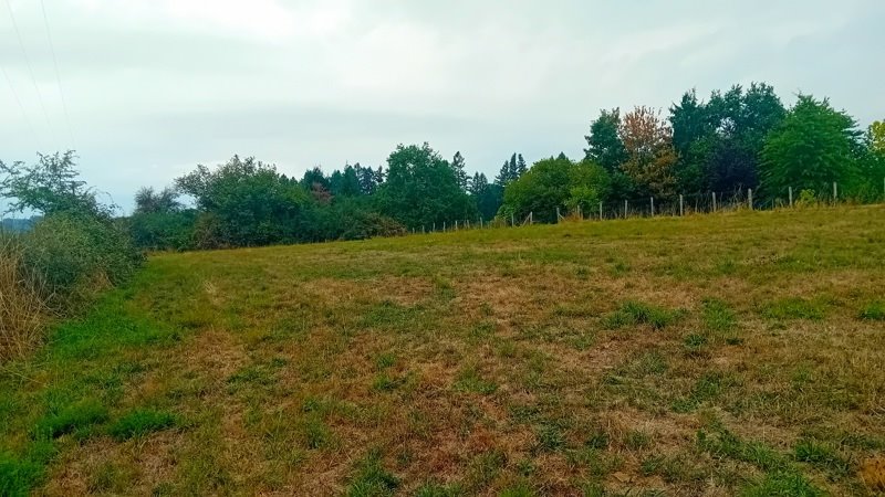 Vente Terrain CONDAT SUR GANAVEIX - -3129 m² - (19140)