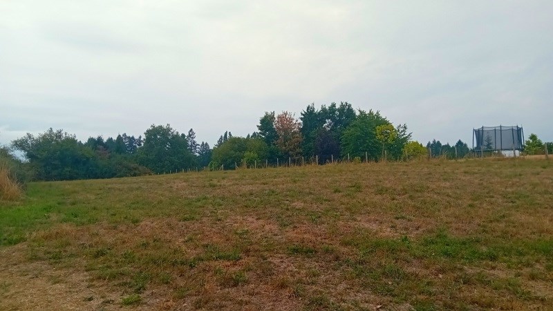 Vente Terrain CONDAT SUR GANAVEIX - -3129 m² - (19140)