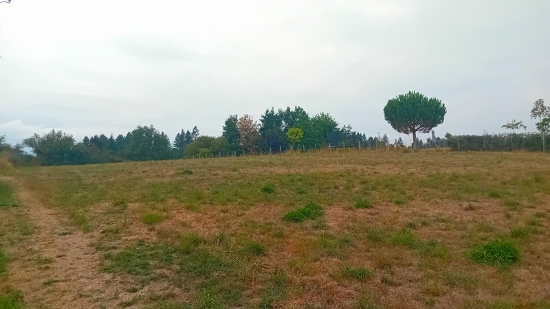 Vente Terrain CONDAT SUR GANAVEIX - -3129 m² - (19140)