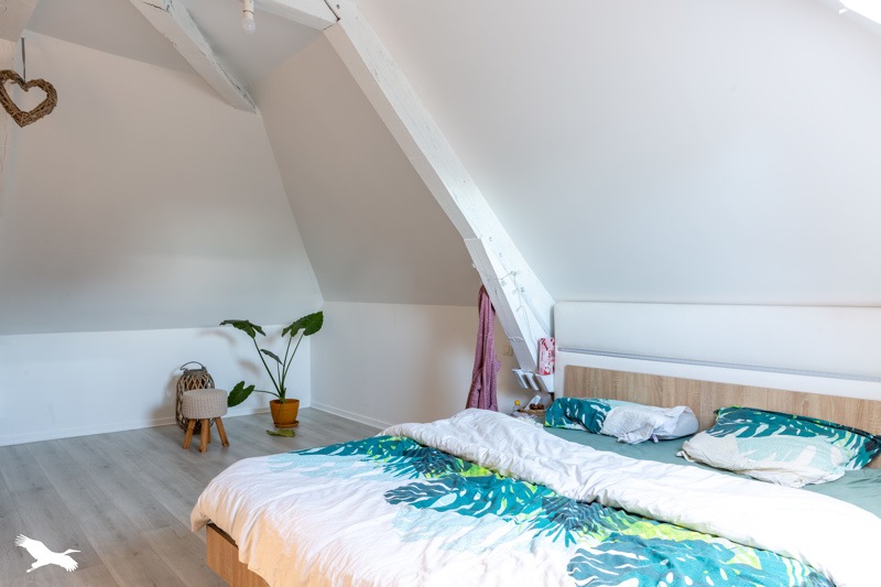 Vente Immeuble LAGRAULIERE - -  505 m² - (19700)