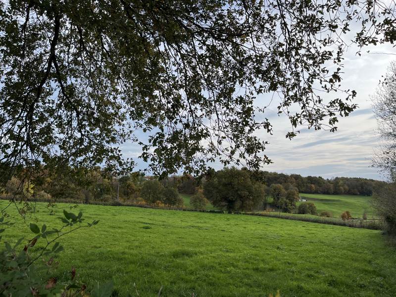 Vente Terrain LUBERSAC - -3950 m² - (19210)