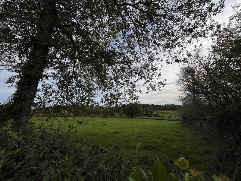 Vente Terrain LUBERSAC - -3950 m² - (19210)