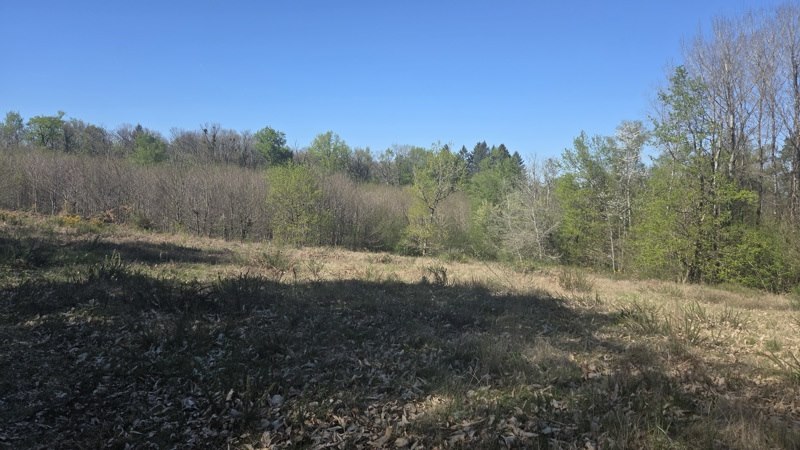 Vente Terrain ESTIVAUX - -3006 m² - (19410)