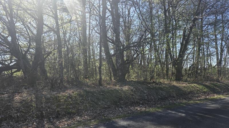 Vente Terrain ESTIVAUX - -3006 m² - (19410)