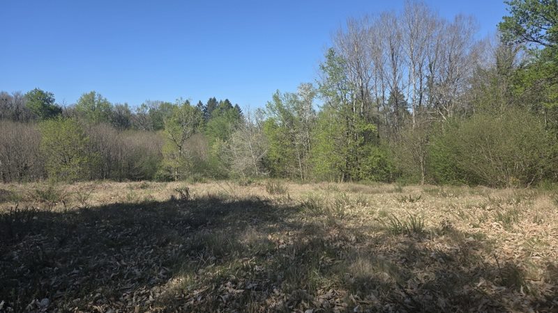 Vente Terrain ESTIVAUX - -3006 m² - (19410)