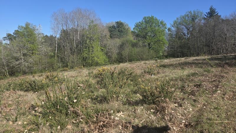 Vente Terrain ESTIVAUX - -3006 m² - (19410)