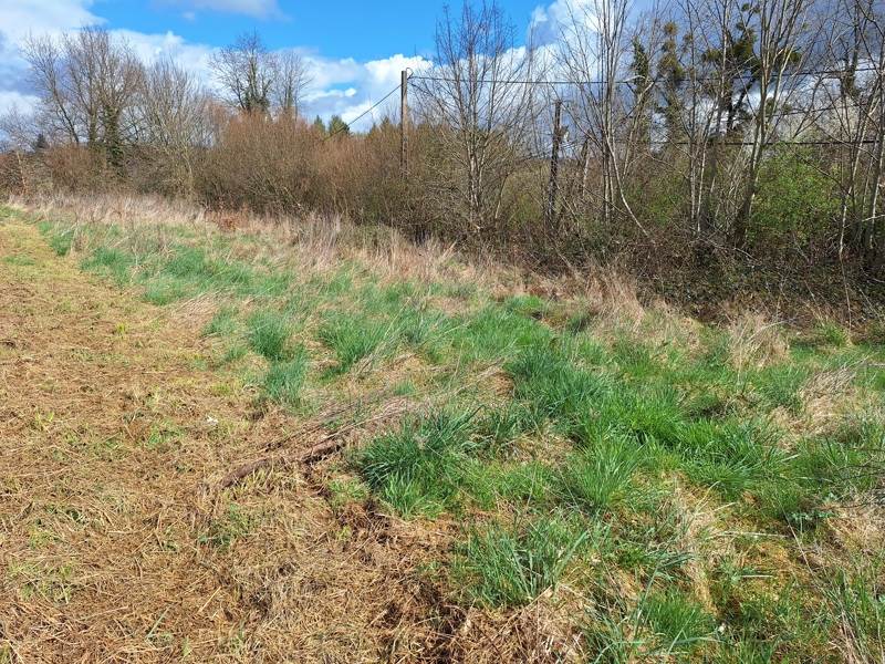 Vente Terrain CONDAT SUR GANAVEIX - -2109 m² - (19140)