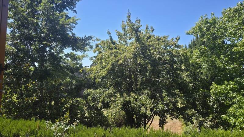 Vente Maison UZERCHE - 8 pièces -190 m² - (19140)