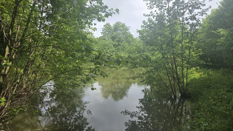 Vente Terrain PIERREFITTE - -2348 m² - (19450)