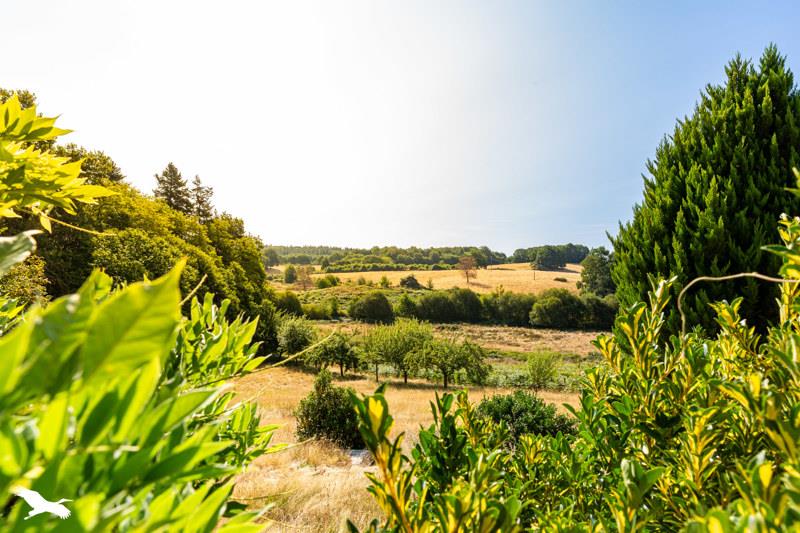 Vente Maison LA PORCHERIE - 5 pièces -152 m² - (87380)