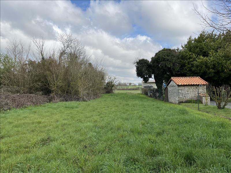 Vente Terrain USSEAU - -840 m² - (79210)