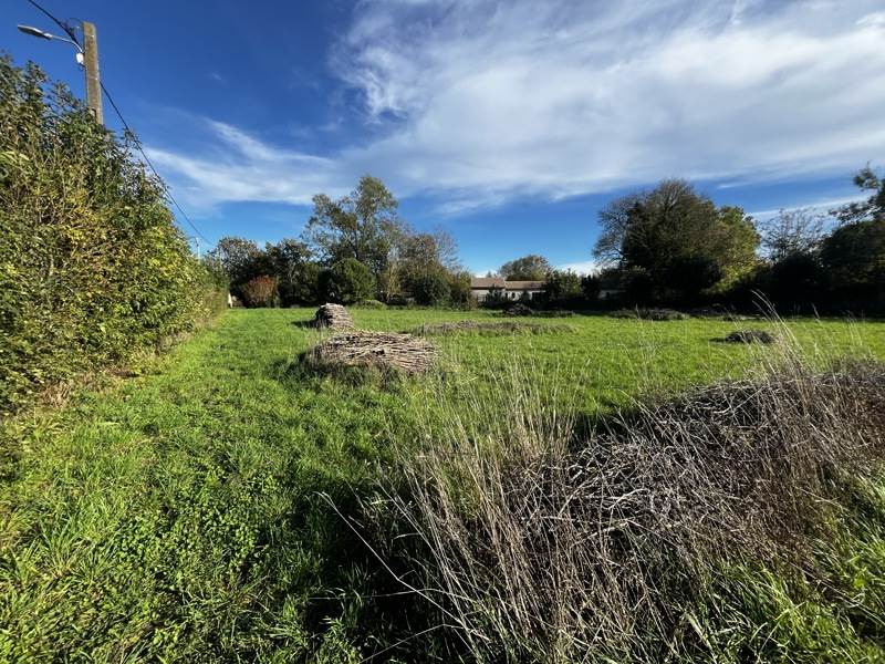Vente Terrain AMURE - -1006 m² - (79210)