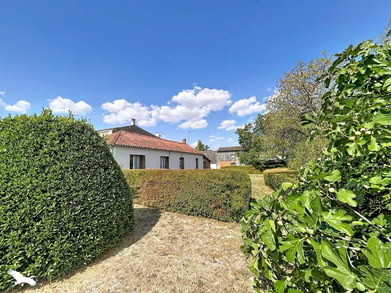 Vente Maison Saint-Georges-de-Rex - 4 pièces -79 m² - (79210)
