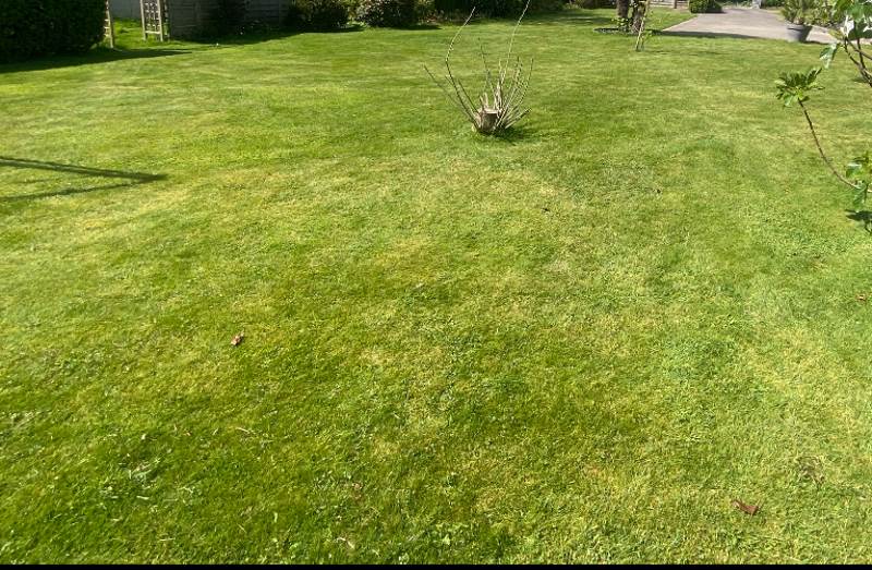 Vente Terrain GUIPAVAS - -800 m² - (29490)