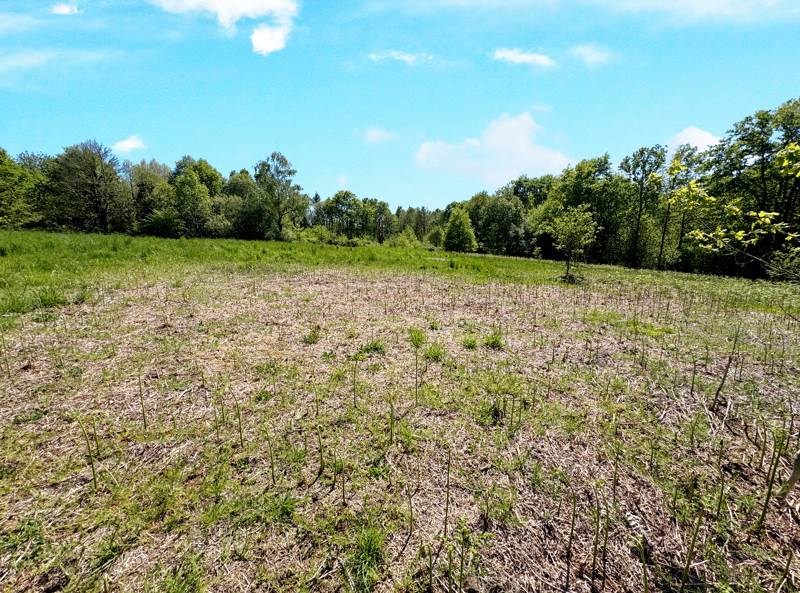 Vente Maison CHAMPAGNAC LA RIVIERE - 6 pièces -140 m² - (87150)