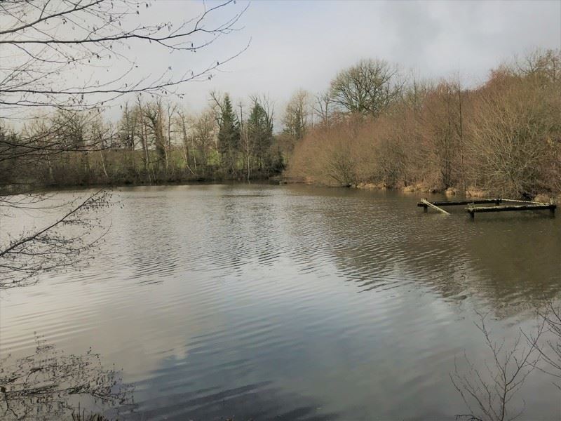 Vente Terrain ORADOUR SUR VAYRES - -23730 m² - (87150)