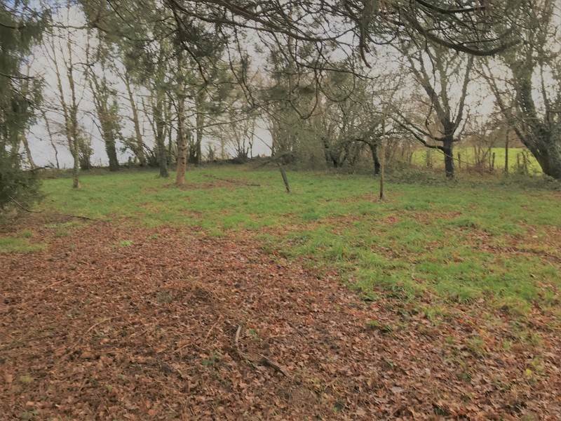 Vente Terrain ORADOUR SUR VAYRES - -23730 m² - (87150)