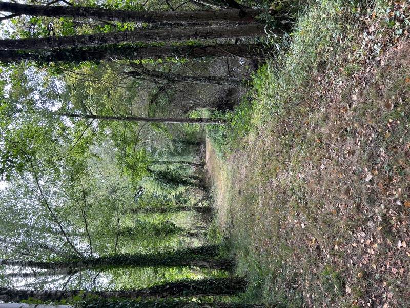 Vente Terrain ORADOUR SUR VAYRES - -23730 m² - (87150)
