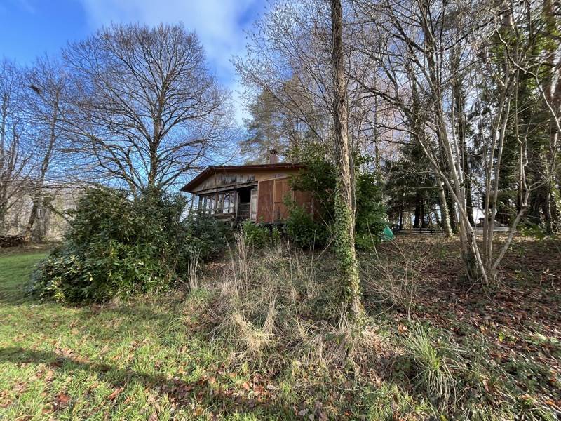 Vente Terrain ORADOUR SUR VAYRES - -23730 m² - (87150)