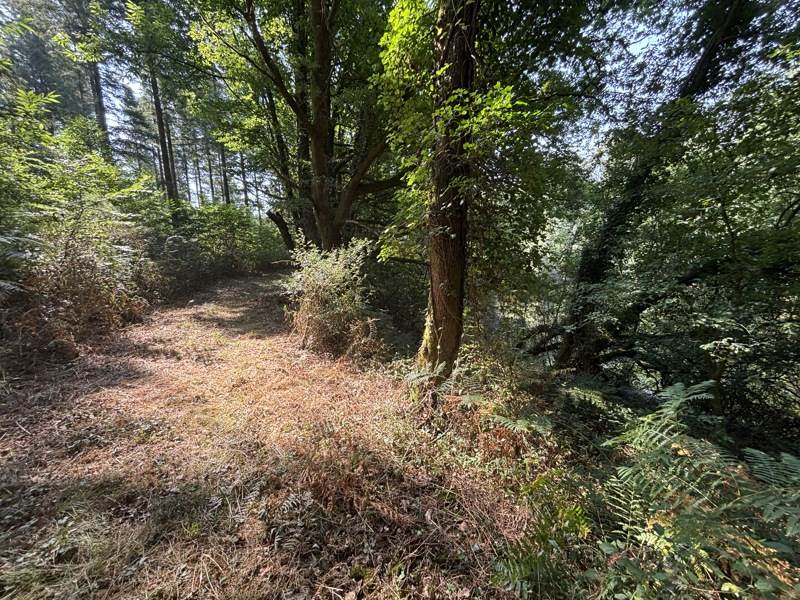 Vente Terrain DOURNAZAC - -4270 m² - (87230)