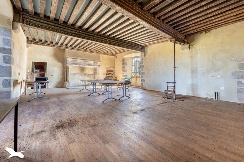 Vente Château PAGEAS - 15 pièces -365 m² - (87230)