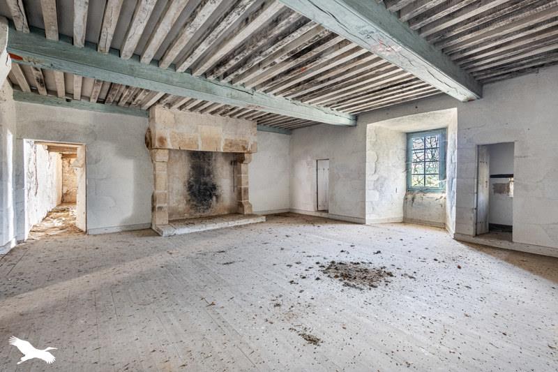 Vente Château PAGEAS - 15 pièces -365 m² - (87230)