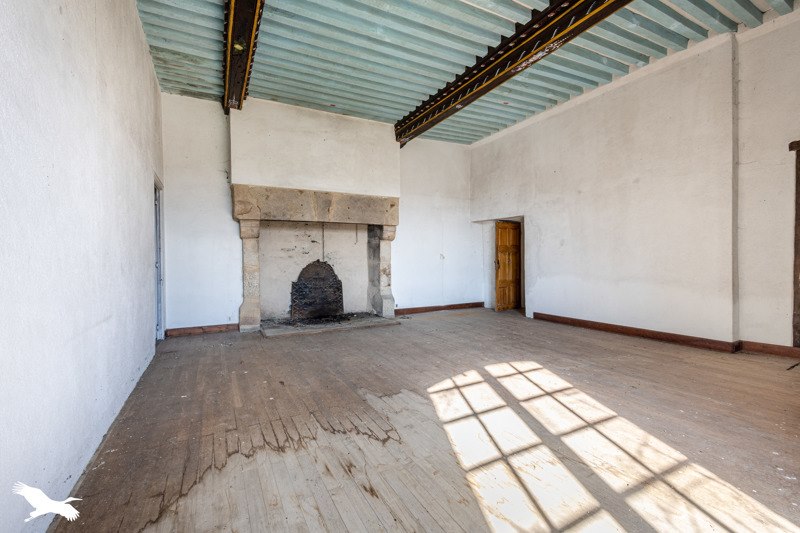 Vente Château PAGEAS - 15 pièces -365 m² - (87230)