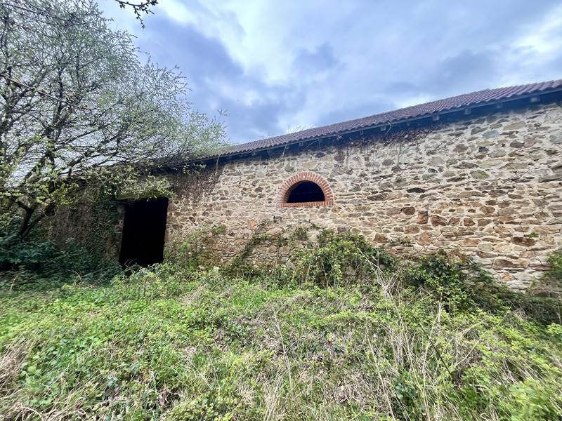 Vente Grange PAGEAS - 1 pièce -229 m² - (87230)