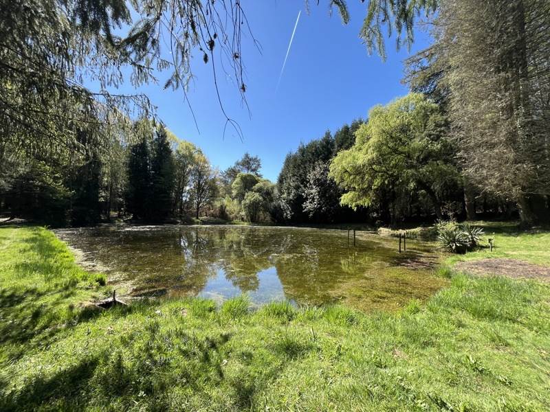 Vente Terrain CHAMPSAC - -10933 m² - (87230)