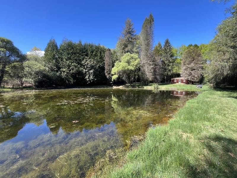 Vente Terrain CHAMPSAC - -10933 m² - (87230)