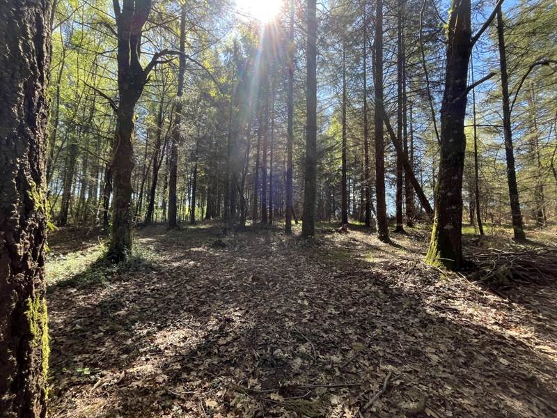 Vente Terrain CHAMPSAC - -10933 m² - (87230)