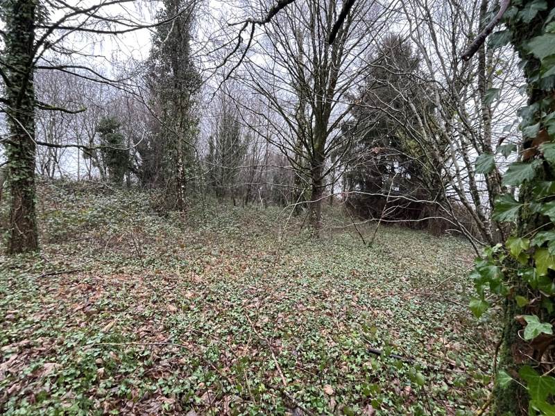 Vente Maison ST PRIEST LES FOUGERES - 5 pièces -90 m² - (24450)