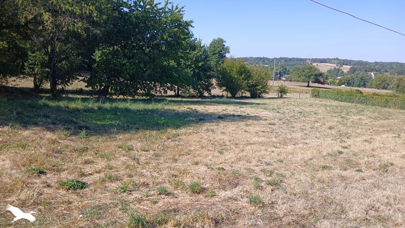 Vente Maison Saint-Laurent-sur-Gorre - 3 pièces -68 m² - (87310)