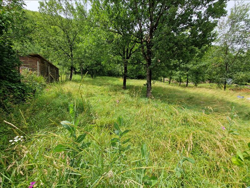 Vente Terrain ST PIERRE TOIRAC - -1460 m² - (46160)