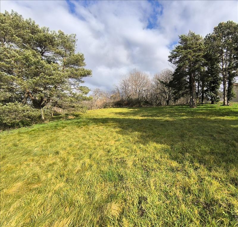 Vente Terrain CARDAILLAC - -1300 m² - (46100)