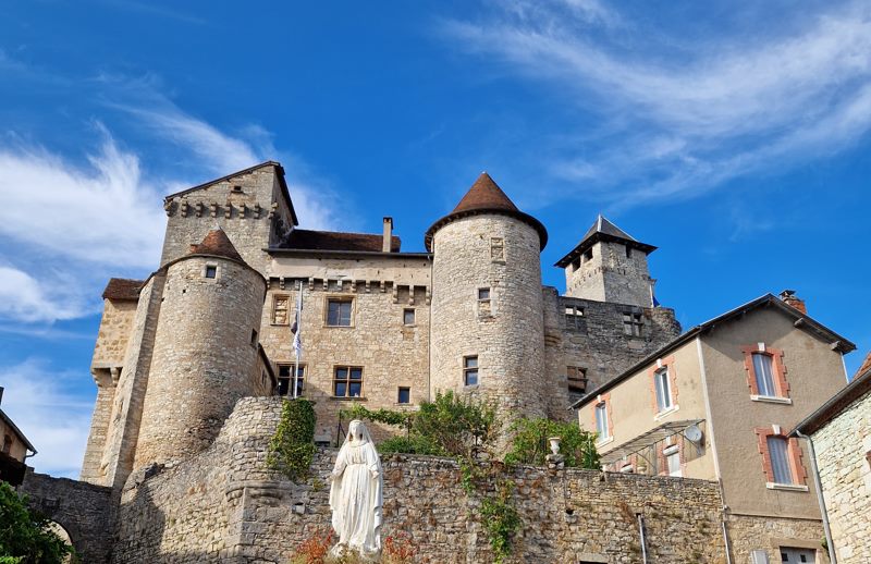 Vente Château SALVAGNAC CAJARC - 15 pièces -540 m² - (12260)