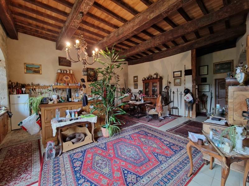Vente Château SALVAGNAC CAJARC - 15 pièces -540 m² - (12260)