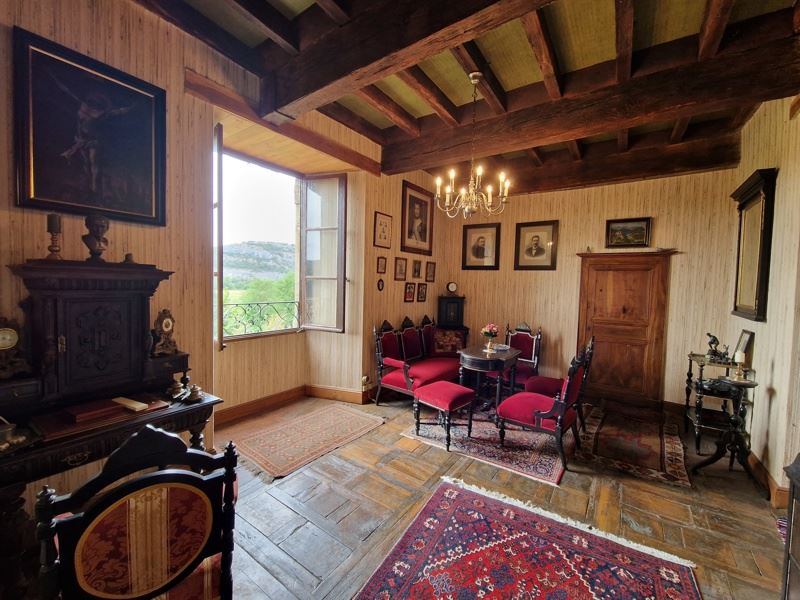 Vente Château SALVAGNAC CAJARC - 15 pièces -540 m² - (12260)