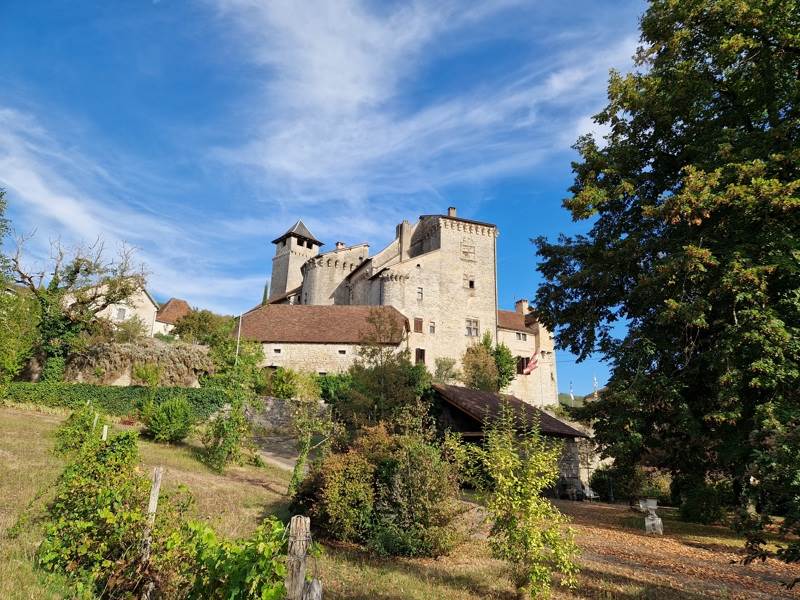 Vente Château SALVAGNAC CAJARC - 15 pièces -540 m² - (12260)