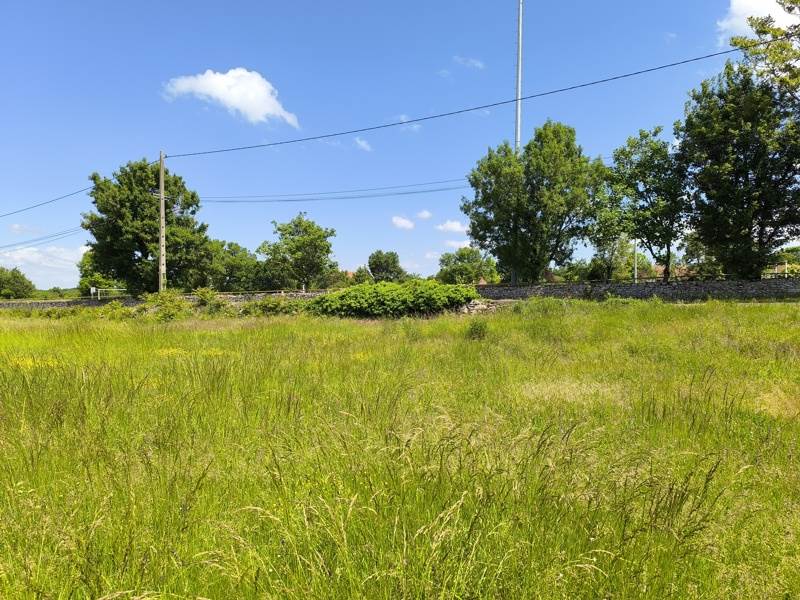 Vente Terrain ASSIER - -2420 m² - (46320)