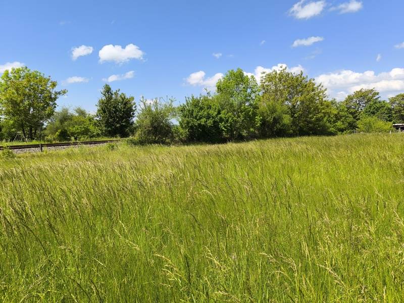 Vente Terrain ASSIER - -2420 m² - (46320)