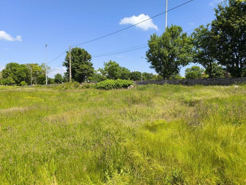 Vente Terrain ASSIER - -2420 m² - (46320)