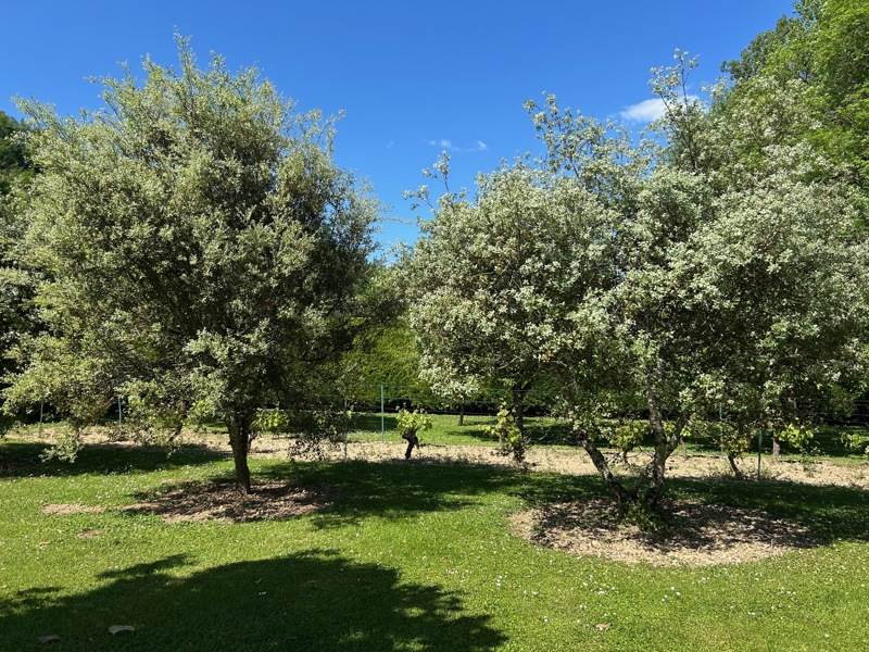 Vente Maison LISSAC ET MOURET - 6 pièces -185 m² - (46100)