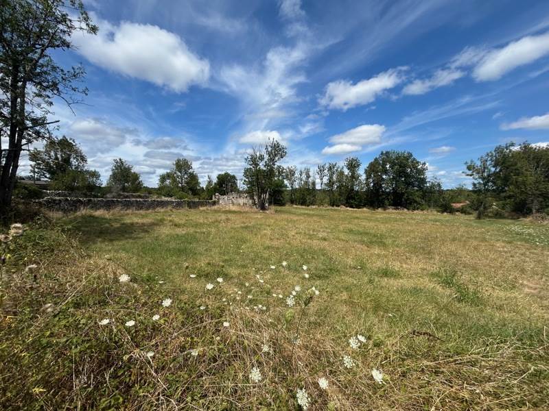 Vente Terrain Grèzes - -3195 m² - (46320)