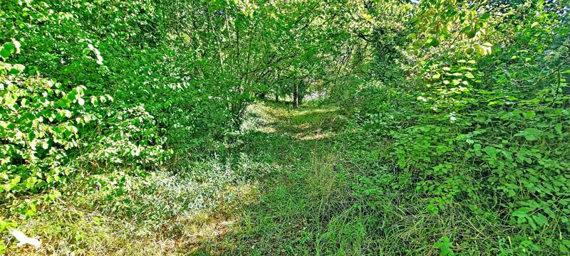 Vente Terrain Larroque-Toirac - -4959 m² - (46160)